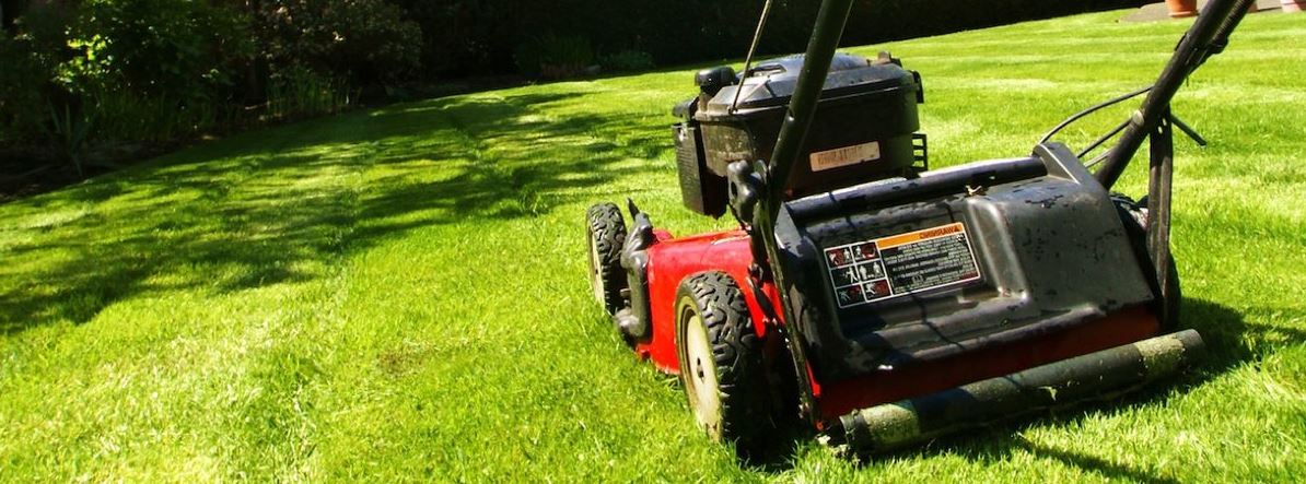 lawn trimming